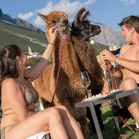 Nira Mountain Futura 4*